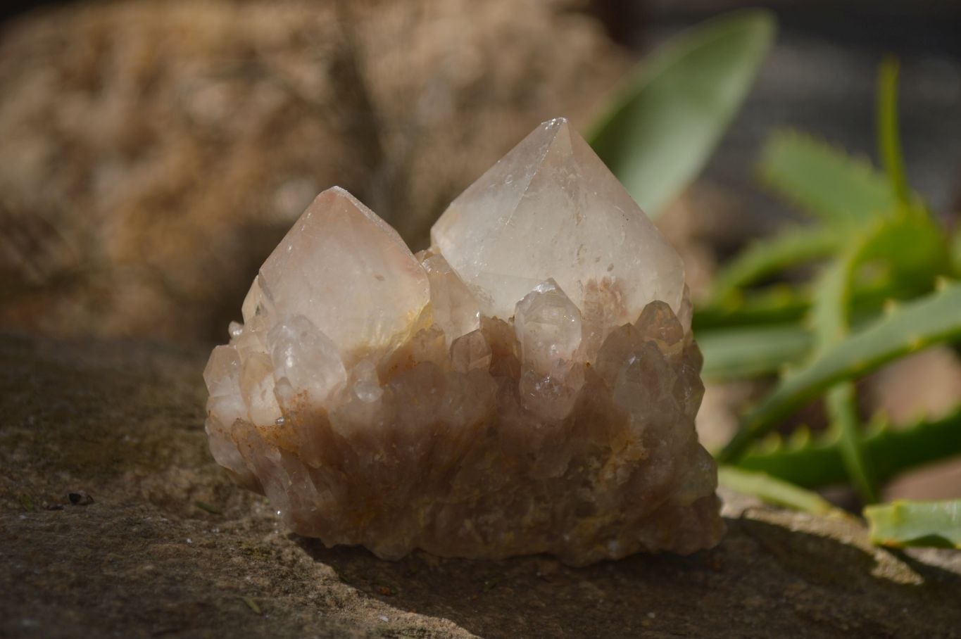 Natural Smokey Quartz Clusters x 12 From Congo - Toprock Gemstones and Minerals 