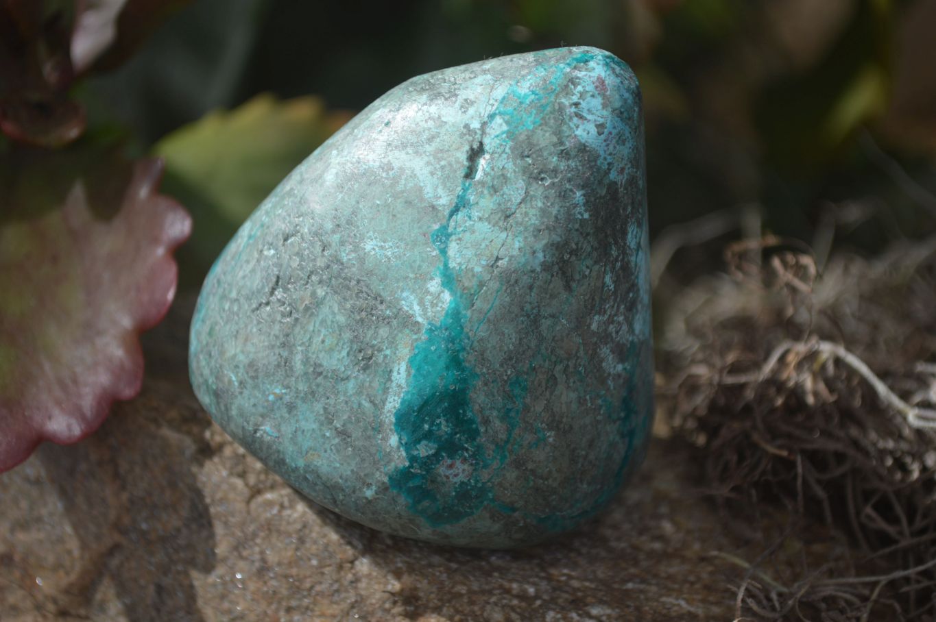 Polished Blue Shattuckite Free Forms  x 6 From Kaokoveld, Namibia - Toprock Gemstones and Minerals 