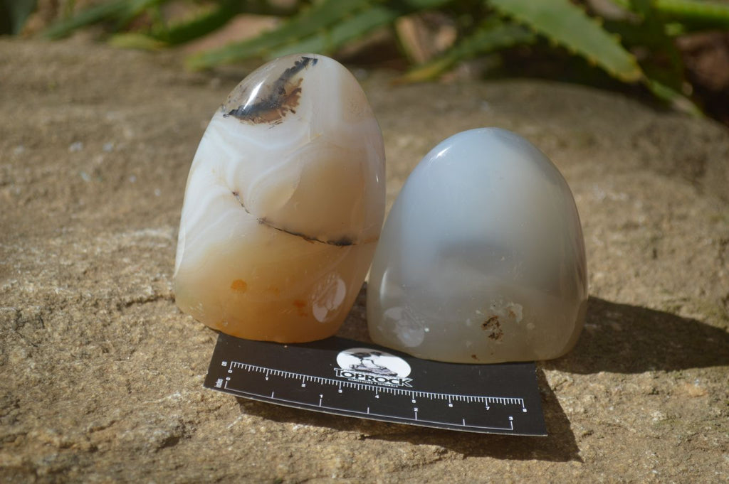 Polished Mixed Agate Standing Free Forms x 6 From Madagascar - Toprock Gemstones and Minerals 