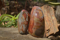 Polished Polychrome Jasper Standing Free Forms  x 2 From Marovato, Madagascar - Toprock Gemstones and Minerals 