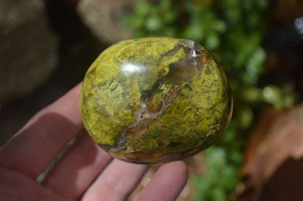 Polished Green Opal Palm Stones  x 12 From Madagascar