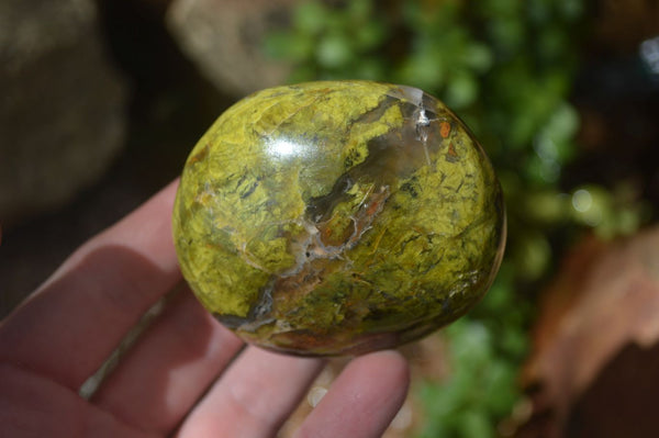 Polished Green Opal Palm Stones  x 12 From Madagascar - Toprock Gemstones and Minerals 