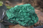 Natural Chatoyant Silky Malachite Specimens  x 2 From Kasompe, Congo - Toprock Gemstones and Minerals 