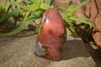 Polished Polychrome Jasper Standing Free Forms  x 2 From Marovato, Madagascar - Toprock Gemstones and Minerals 