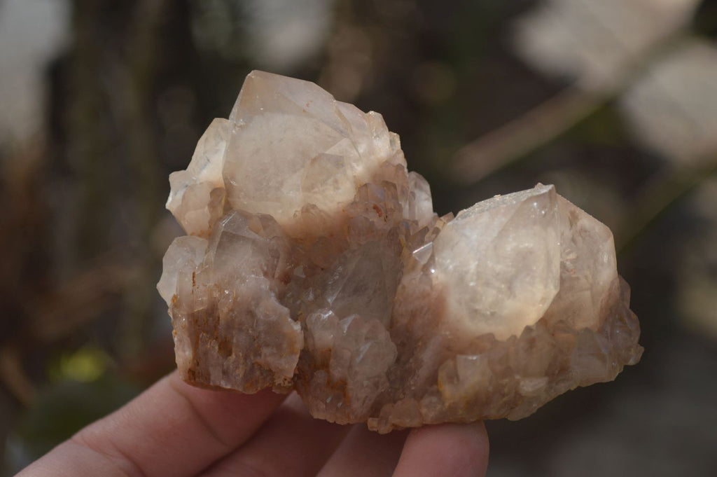 Natural Smokey Quartz Clusters x 12 From Congo - Toprock Gemstones and Minerals 
