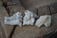 Natural Drusy Quartz Coated Pseudomorph Crystals  x 70 From Alberts Mountain, Lesotho - Toprock Gemstones and Minerals 