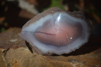 Polished River Agate Nodules  x 6 From Zimbabwe - Toprock Gemstones and Minerals 
