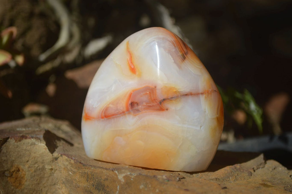Polished Carnelian Agate Standing Free Forms  x 6 From Madagascar - Toprock Gemstones and Minerals 