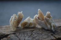 Natural Drusy Quartz Coated Pseudomorph Crystals  x 70 From Alberts Mountain, Lesotho - Toprock Gemstones and Minerals 