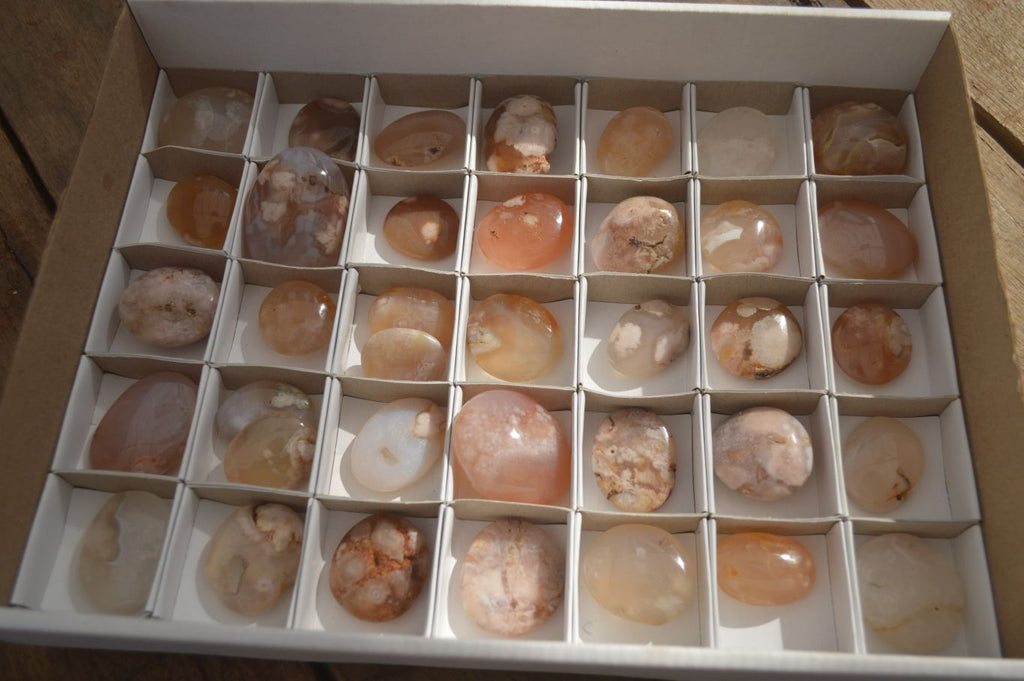 Polished Mini Ocean  Flower Agate Palm Stones  x 35 From Madagascar - Toprock Gemstones and Minerals 