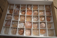 Polished Mini Ocean  Flower Agate Palm Stones  x 35 From Madagascar - Toprock Gemstones and Minerals 