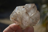 Polished Mixed Selection Of Window Quartz Crystals x 4 From Madagascar - Toprock Gemstones and Minerals 