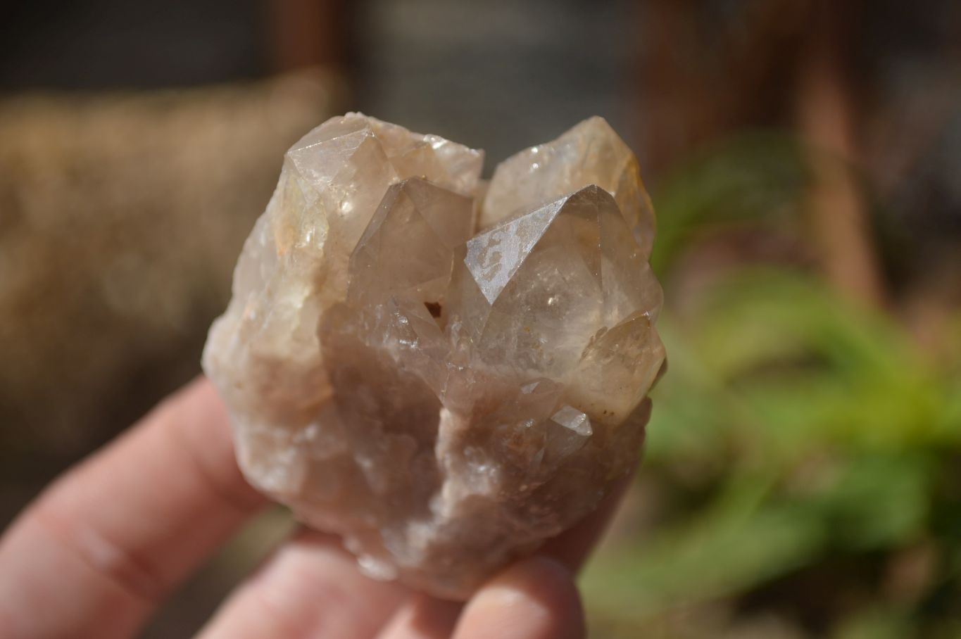 Natural Smokey Quartz Clusters x 12 From Congo - Toprock Gemstones and Minerals 