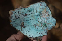 Natural Blue Drusy Coated Chrysocolla & Malachite Specimens x 4 From Congo - Toprock Gemstones and Minerals 