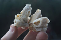 Natural Drusy Quartz Coated Pseudomorph Crystals  x 70 From Alberts Mountain, Lesotho - Toprock Gemstones and Minerals 