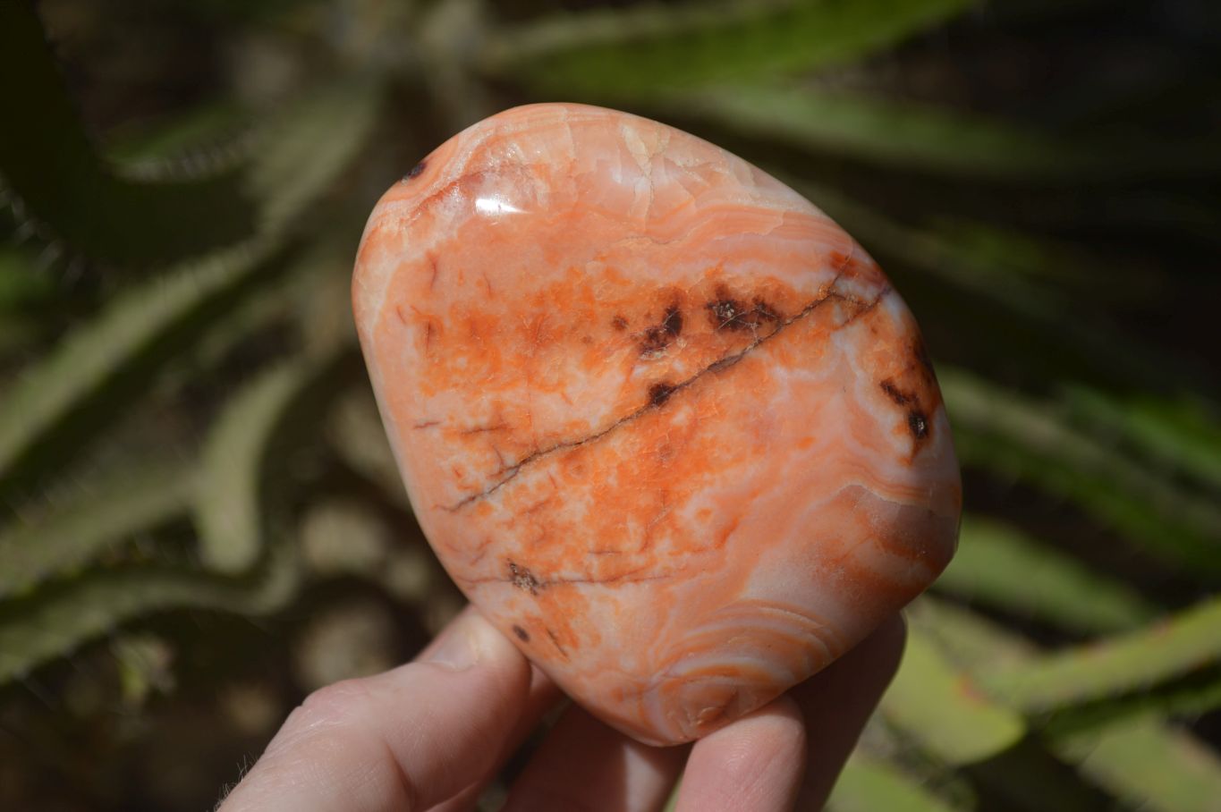 Polished Carnelian Agate Standing Free Forms  x 6 From Madagascar - Toprock Gemstones and Minerals 