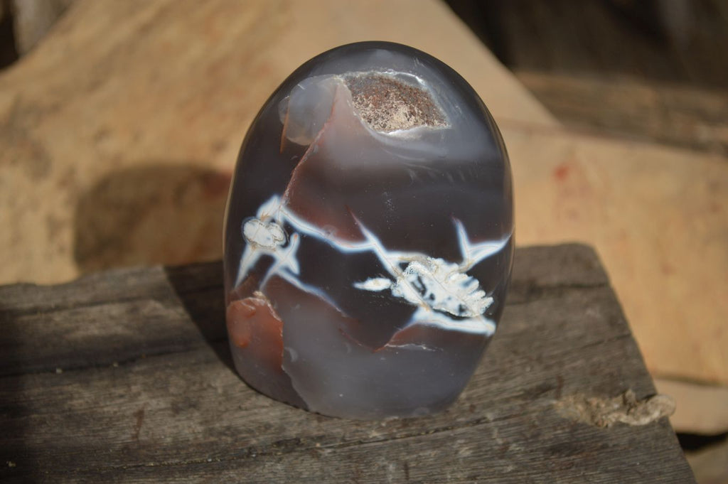 Polished Mixed Agate Standing Free Forms x 6 From Madagascar - Toprock Gemstones and Minerals 