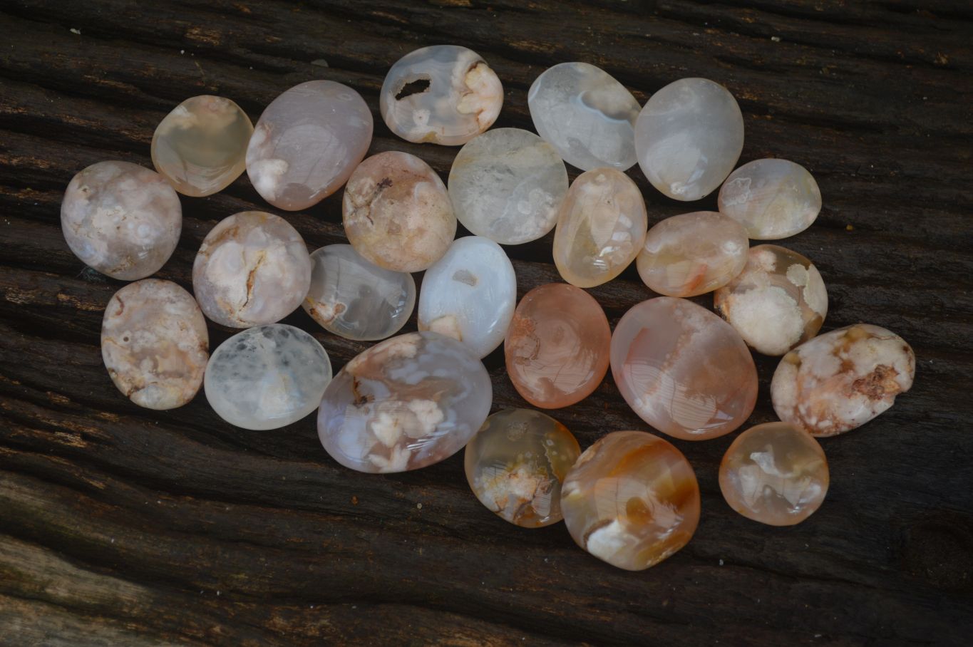 Polished Mini Ocean  Flower Agate Palm Stones  x 35 From Madagascar - Toprock Gemstones and Minerals 