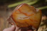 Polished River Agate Nodules  x 6 From Zimbabwe - Toprock Gemstones and Minerals 