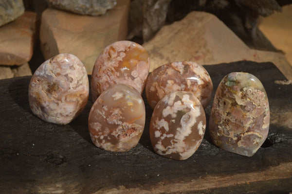 Polished Ocean Flower Agate Standing Free Forms  x 6 From Antsahalova, Madagascar - Toprock Gemstones and Minerals 