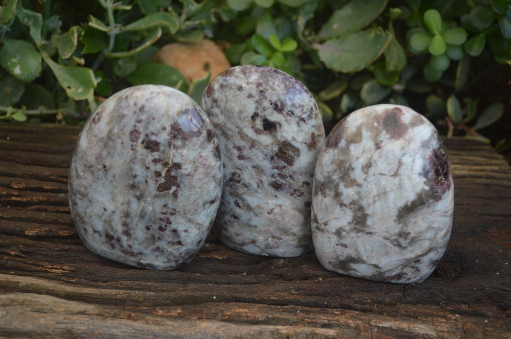 Polished Rubellite In Quartz & Feldspar Matrix  x 3 From Madagascar - Toprock Gemstones and Minerals 