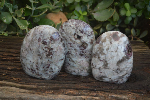 Polished Rubellite In Quartz & Feldspar Matrix  x 3 From Madagascar - Toprock Gemstones and Minerals 