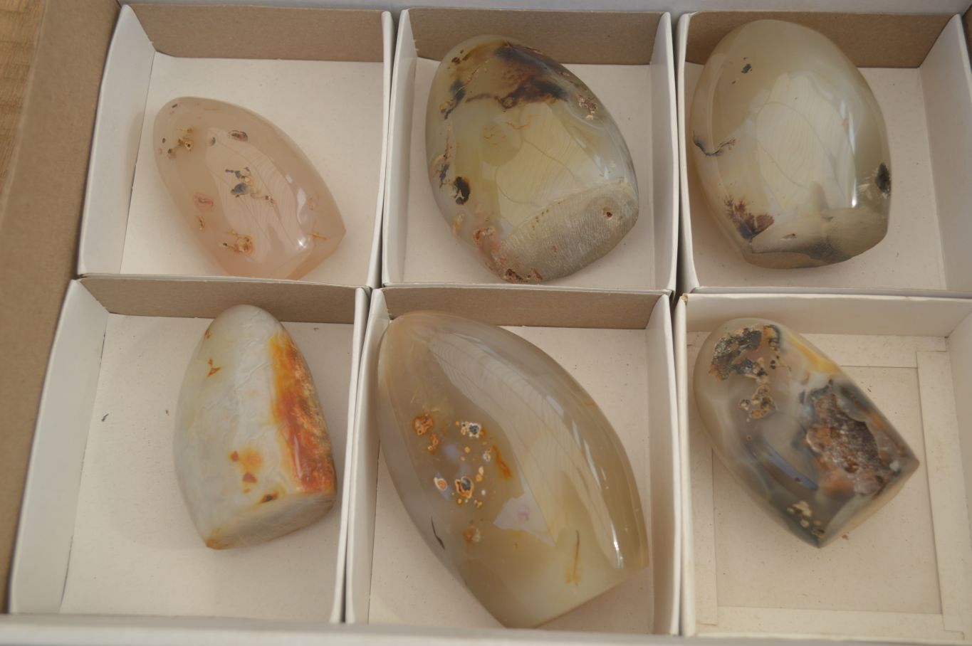 Polished Dendritic Agate Standing Free Forms  x 6 From Moralambo, Madagascar - Toprock Gemstones and Minerals 
