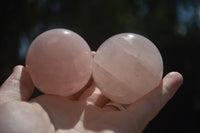 Polished Star Rose Quartz Spheres x 6 From Ambatondrazaka, Madagascar - TopRock