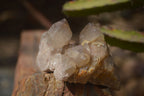 Natural Smokey Quartz Clusters x 12 From Congo - Toprock Gemstones and Minerals 