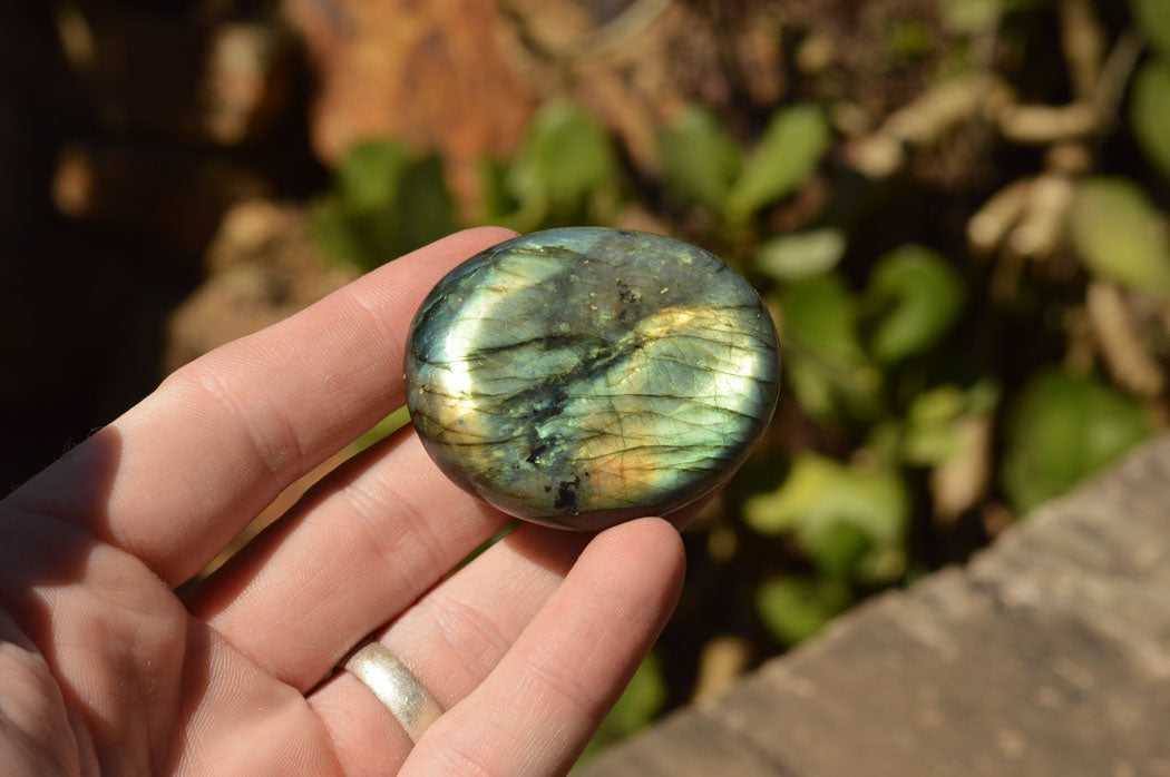 Polished Flashy Labradorite Palm Stones  x 20 From Tulear, Madagascar - TopRock