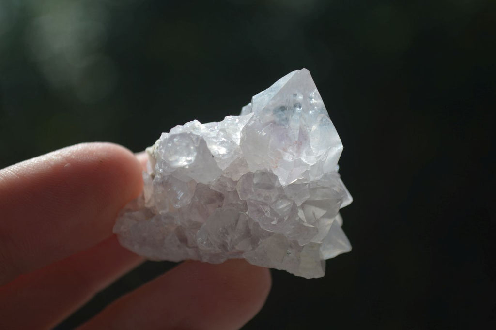 Natural Small Mixed Spirit Quartz Clusters  x 35 From Boekenhouthoek, South Africa - Toprock Gemstones and Minerals 