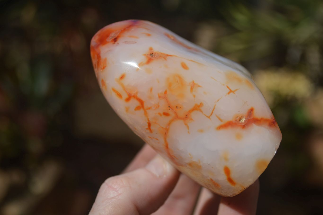 Polished Carnelian Agate Standing Free Forms  x 6 From Madagascar - Toprock Gemstones and Minerals 