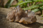 Natural Smokey Quartz Clusters x 12 From Congo - Toprock Gemstones and Minerals 
