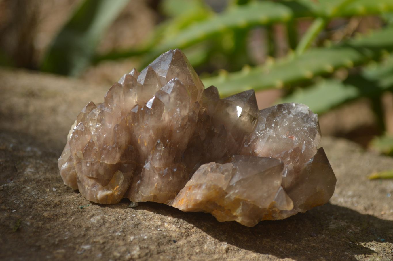 Natural Smokey Quartz Clusters x 12 From Congo - Toprock Gemstones and Minerals 
