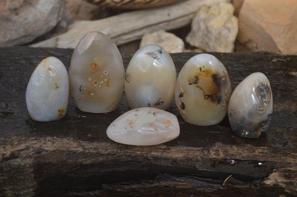 Polished Dendritic Agate Standing Free Forms  x 6 From Moralambo, Madagascar - Toprock Gemstones and Minerals 
