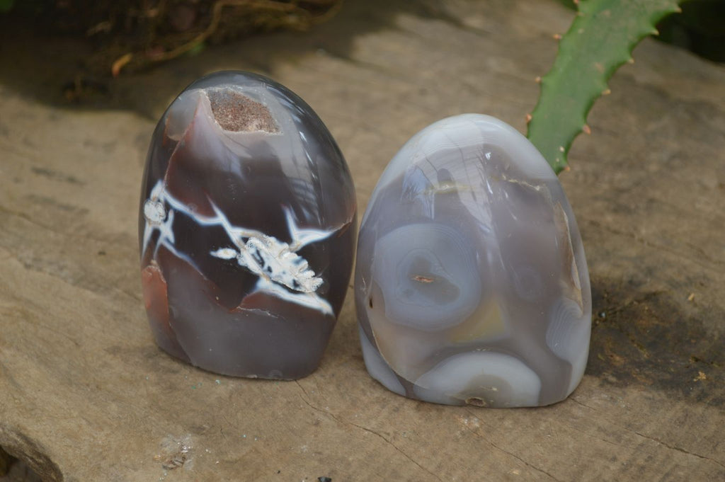 Polished Mixed Agate Standing Free Forms x 6 From Madagascar - Toprock Gemstones and Minerals 