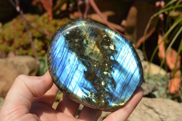 Polished Labradorite Standing Free Forms With Intense Blue & Gold Flash x 3 From Sakoany, Madagascar - TopRock