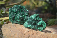 Natural Chatoyant Silky Malachite Specimens  x 4 From Kasompe, Congo - Toprock Gemstones and Minerals 