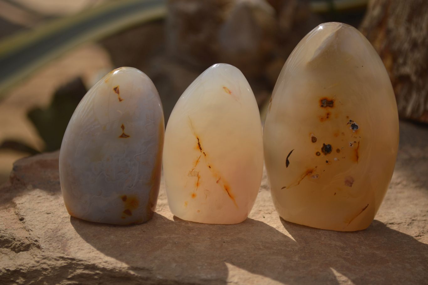 Polished Dendritic Agate Standing Free Forms  x 6 From Moralambo, Madagascar - Toprock Gemstones and Minerals 