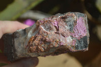 Natural Pink Salrose Cobaltion Dolomite Specimens  x 3 From Kakanda, Congo - Toprock Gemstones and Minerals 