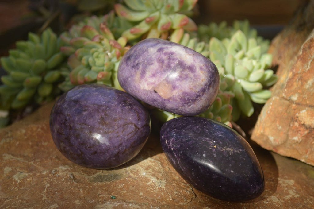 Polished  Purple Lepidolite Palm Stones  x 6 From Zimbabwe - Toprock Gemstones and Minerals 