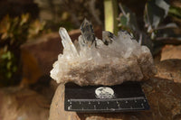 Natural Mixed Selection Of Quartz Crystals  x 7 From Madagascar - Toprock Gemstones and Minerals 