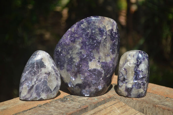 Polished Silver Leaf Lepidolite Standing Free Forms  x 3 From Madagascar - Toprock Gemstones and Minerals 