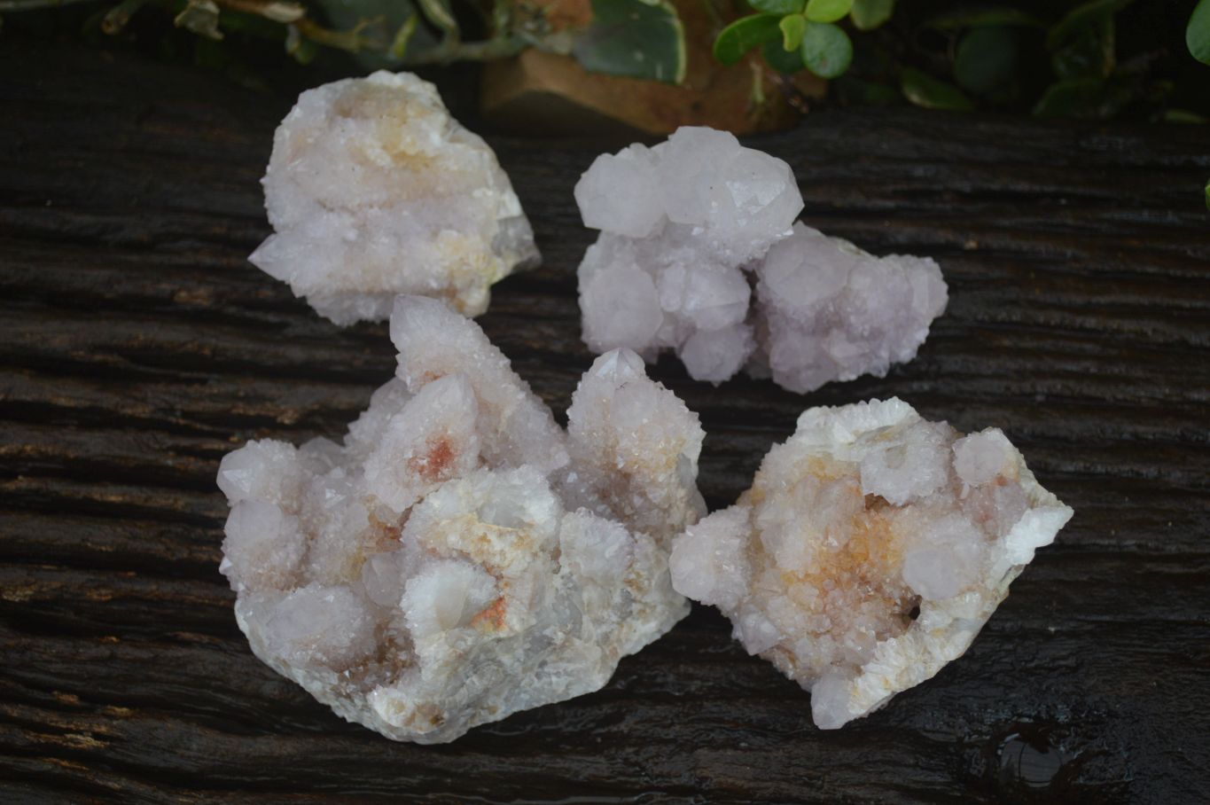 Natural Mixed Spirit Quartz Clusters x 4 From Boekenhouthoek, South Africa - Toprock Gemstones and Minerals 