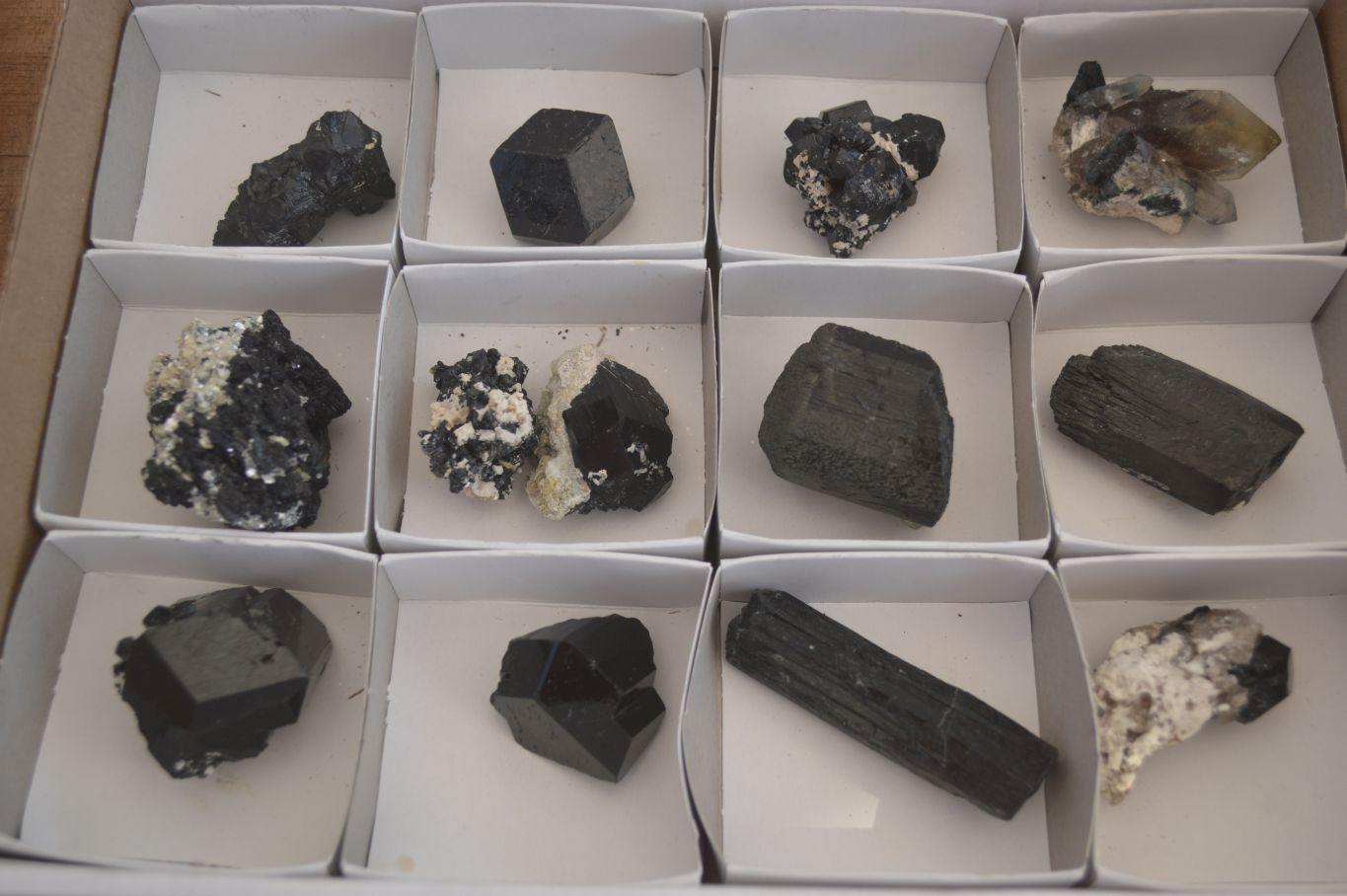 Natural Schorl Black Tourmaline Specimens x 13 From Erongo, Namibia - Toprock Gemstones and Minerals 