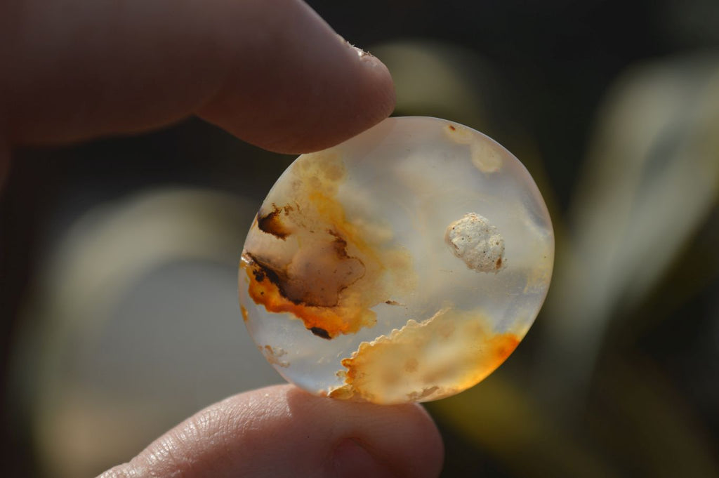 Polished Mini Ocean  Flower Agate Palm Stones  x 35 From Madagascar - Toprock Gemstones and Minerals 