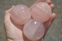 Polished Star Rose Quartz Spheres x 6 From Ambatondrazaka, Madagascar - TopRock