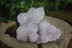 Natural Mixed Spirit Quartz Clusters x 4 From Boekenhouthoek, South Africa - Toprock Gemstones and Minerals 
