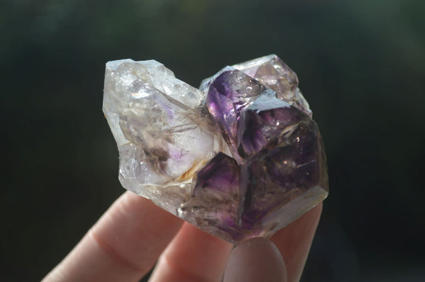 Natural Skeletal Smokey Amethyst Window Quartz Crystals  x 14 From Chiredzi, Zimbabwe - Toprock Gemstones and Minerals 