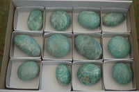 Polished Blue Amazonite Palm Stones  x 12 From Ambositra, Madagascar - Toprock Gemstones and Minerals 